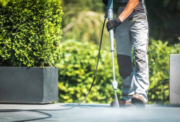 Best Roof Washing  in Boiling Springs, PA