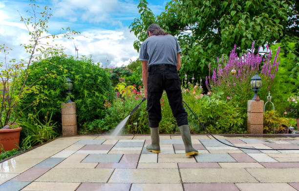 Best Animal Enclosure Cleaning  in Boiling Springs, PA